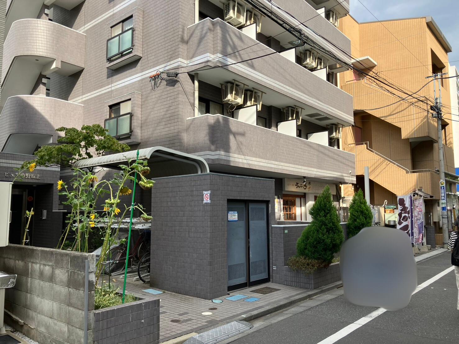 ピュア中野坂上 B1階 | 店舗物件、貸店舗をお探しなら検索ポータルTEMPOLY